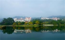 厦门大学美景