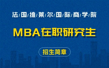 法国维莱尔国际商学院MBA在职研究生招生简章